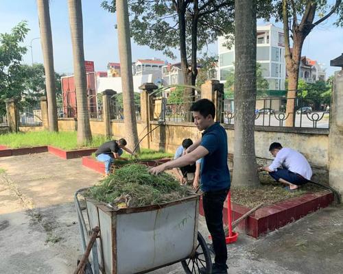 Đoàn Thanh niên cơ quan Liên đoàn Lao động tỉnh chung tay tổng vệ sinh môi trường