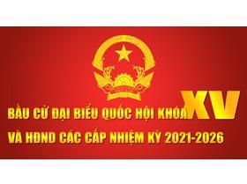Toàn tỉnh có 1.231 đơn vị bầu cử cấp huyện và cấp xã